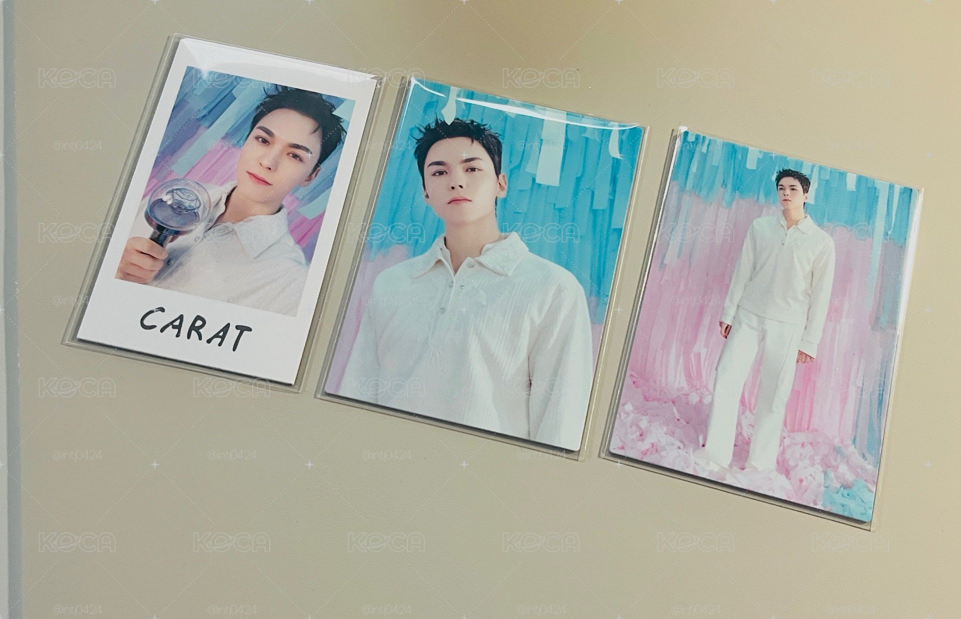 seventeen🐻‍❄️ |Vernon only