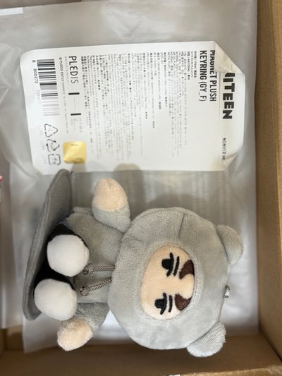 Miniteen Nonver坐娃+卡套