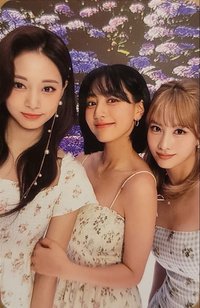 D社 Lenti Book 周邊卡 小分隊