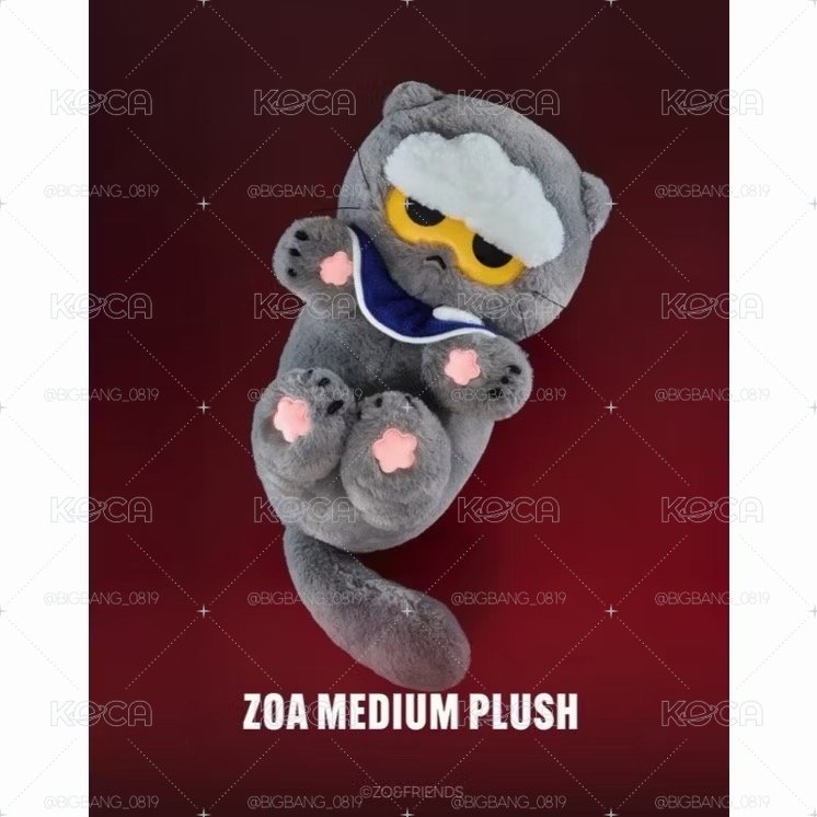 全新 zoa中娃