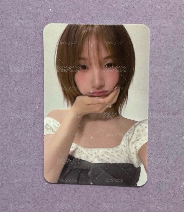 阿貢包 Sasha
