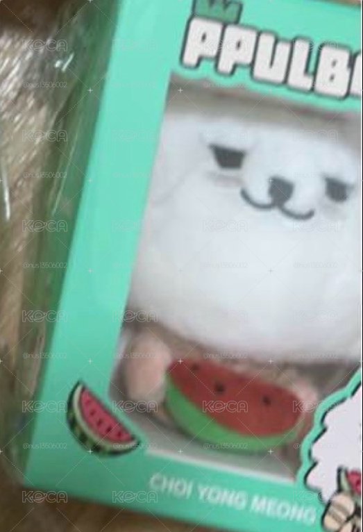 西瓜 勇猛