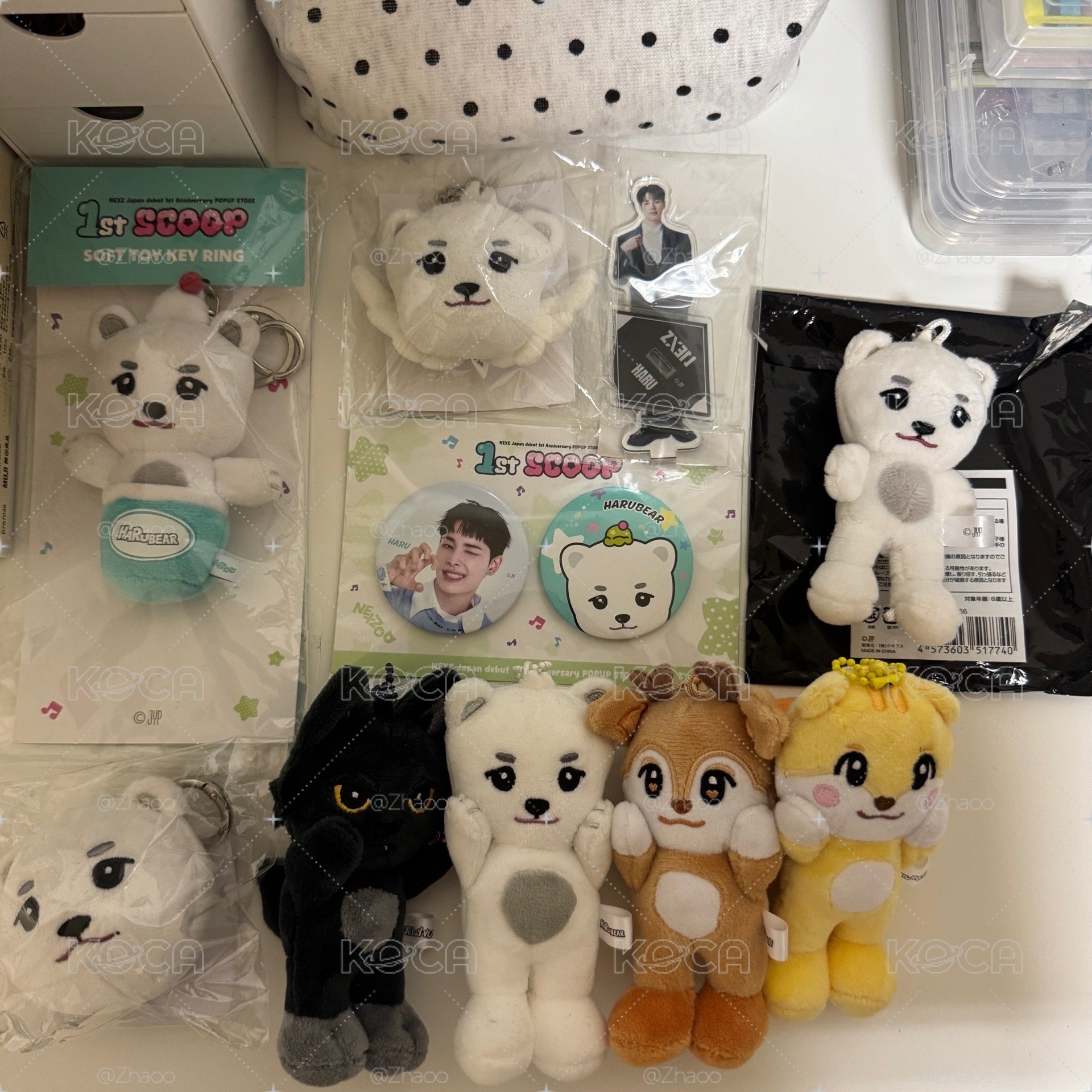 🐻‍❄️盤