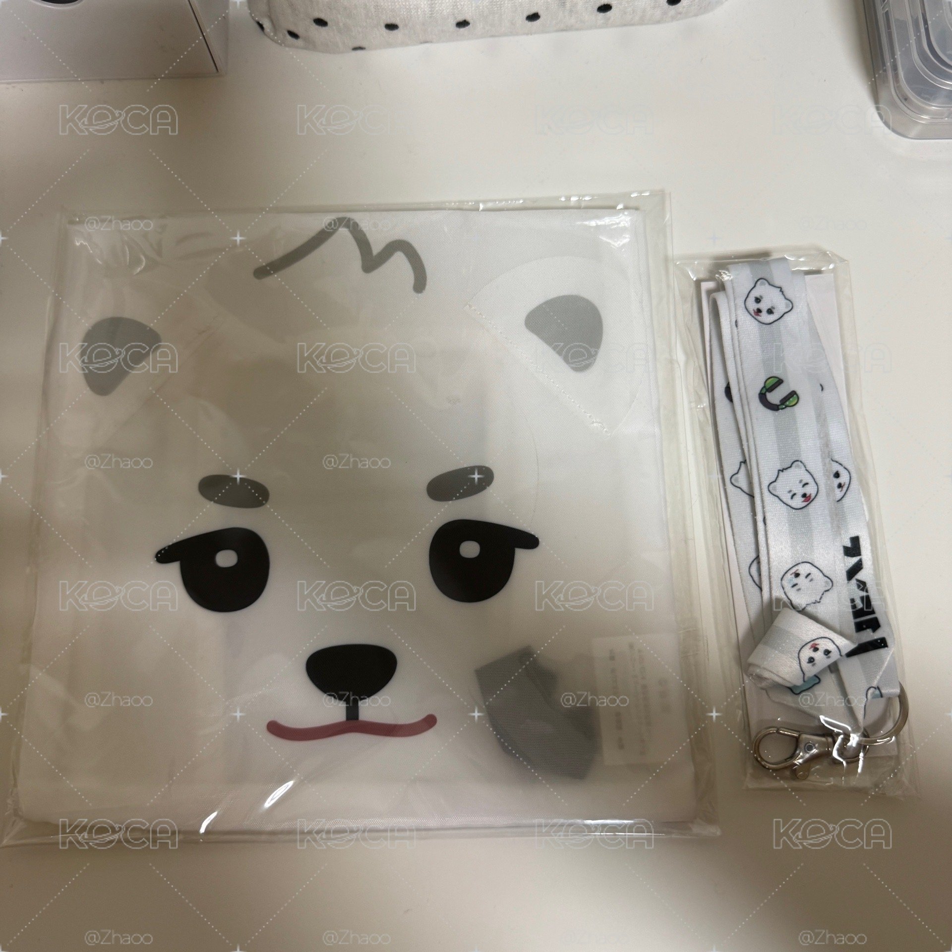 🐻‍❄️盤