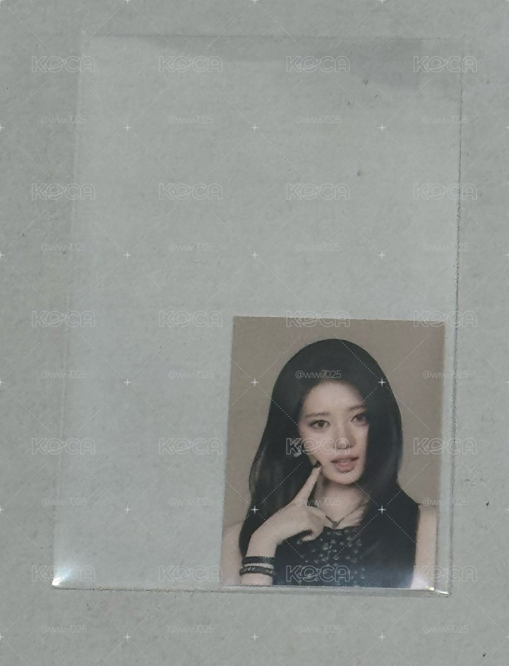 茶仁證件照