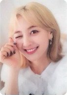 Dicon 2020 雜誌卡 透卡