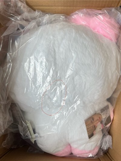 現貨 pangpangnini