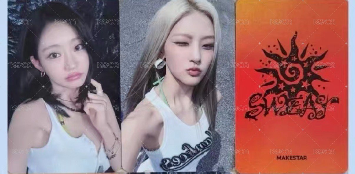 MS 預售Julie+Haneul
