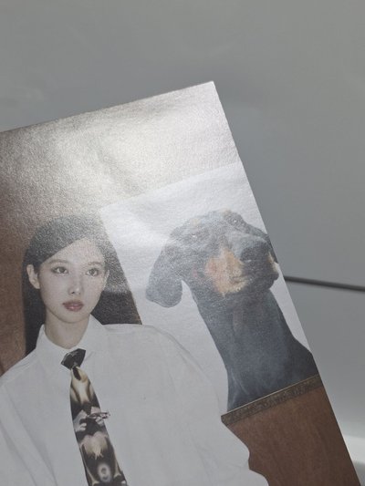 （🎁、可當綁🧵）⚠️損 正規四 ONCE JAPAN 娜A5明信片 