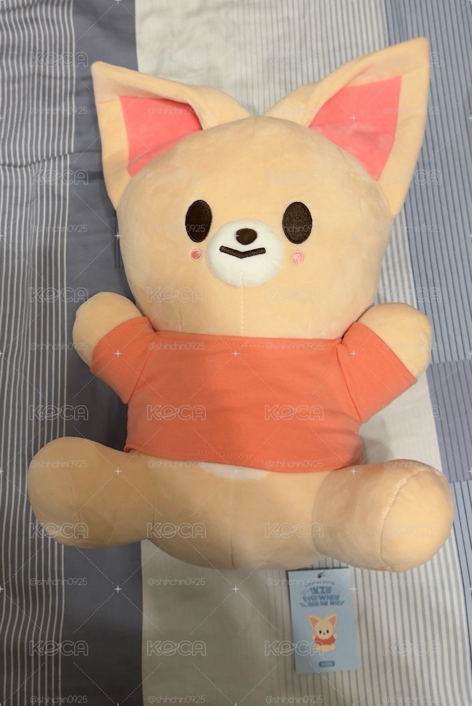 寅抱娃