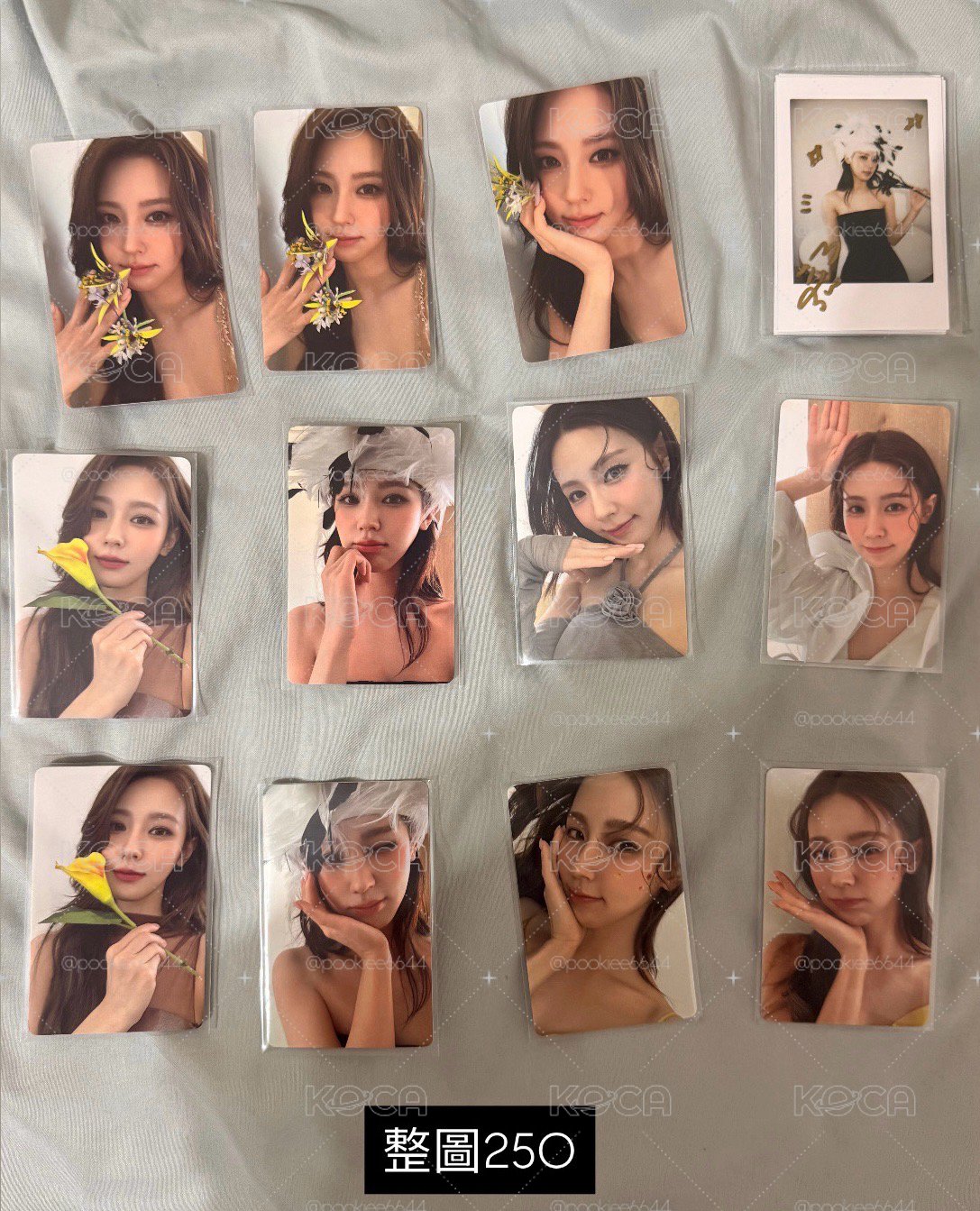 呈仕雜誌麵卡