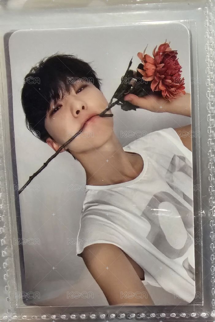 叼花榮🩷