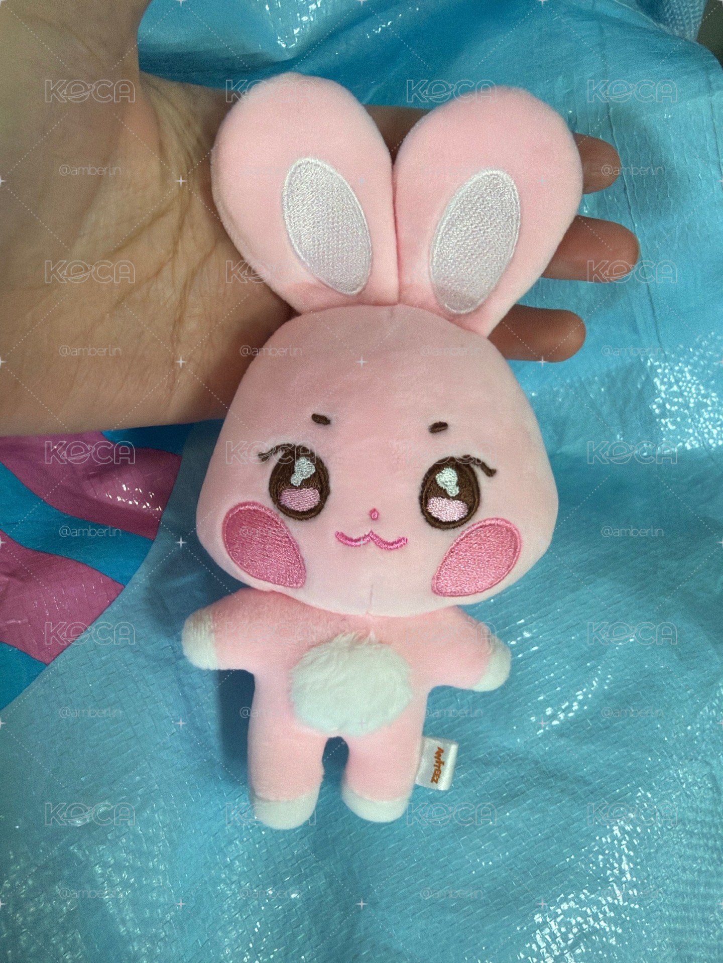 原皮咚星