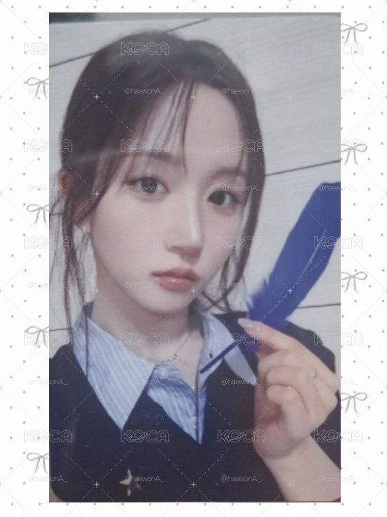 羽毛 嫄