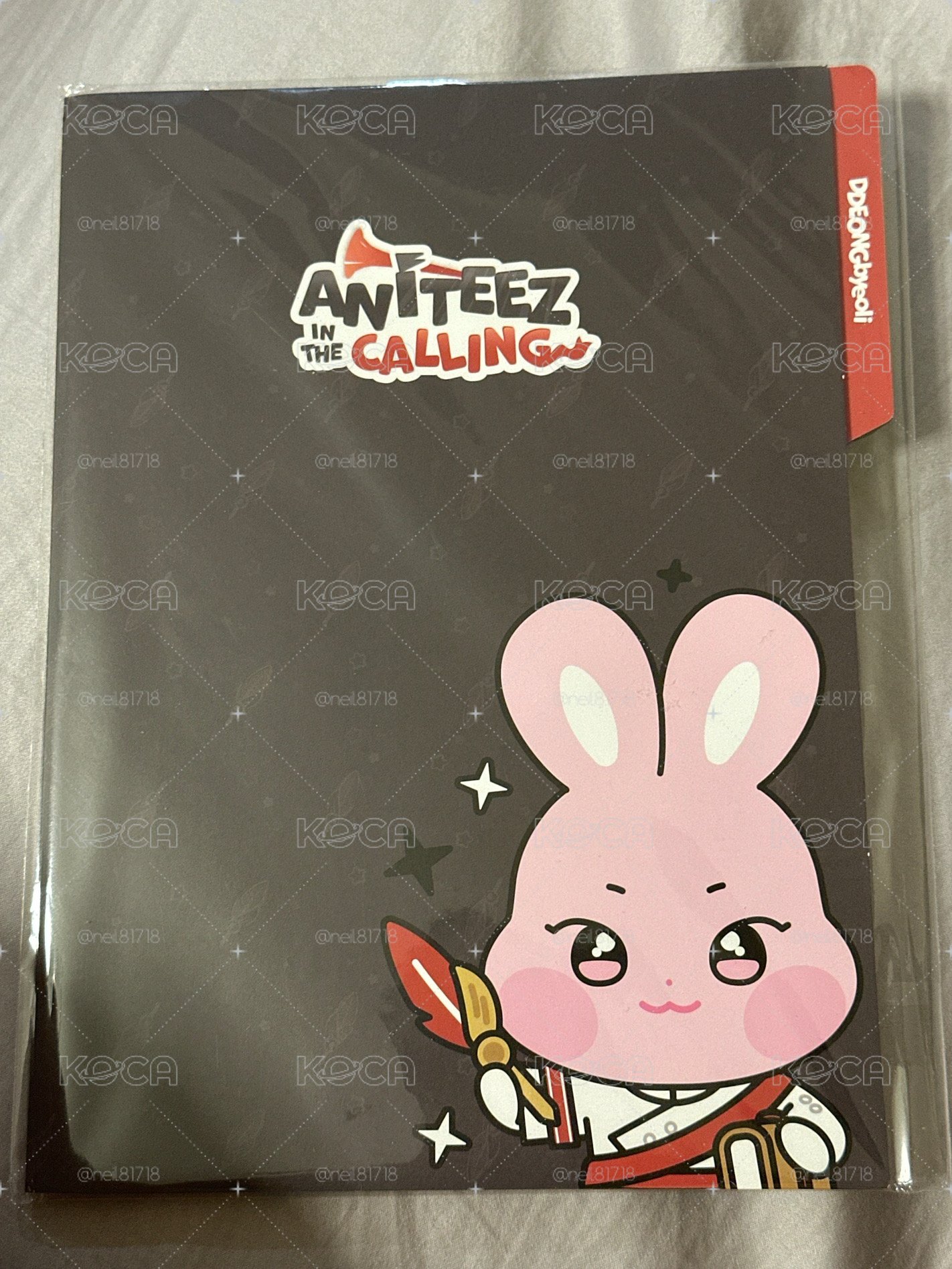 Aniteez In the Calling 咚星資料夾