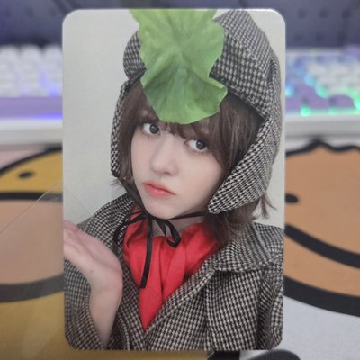 蔬菜偵探莉