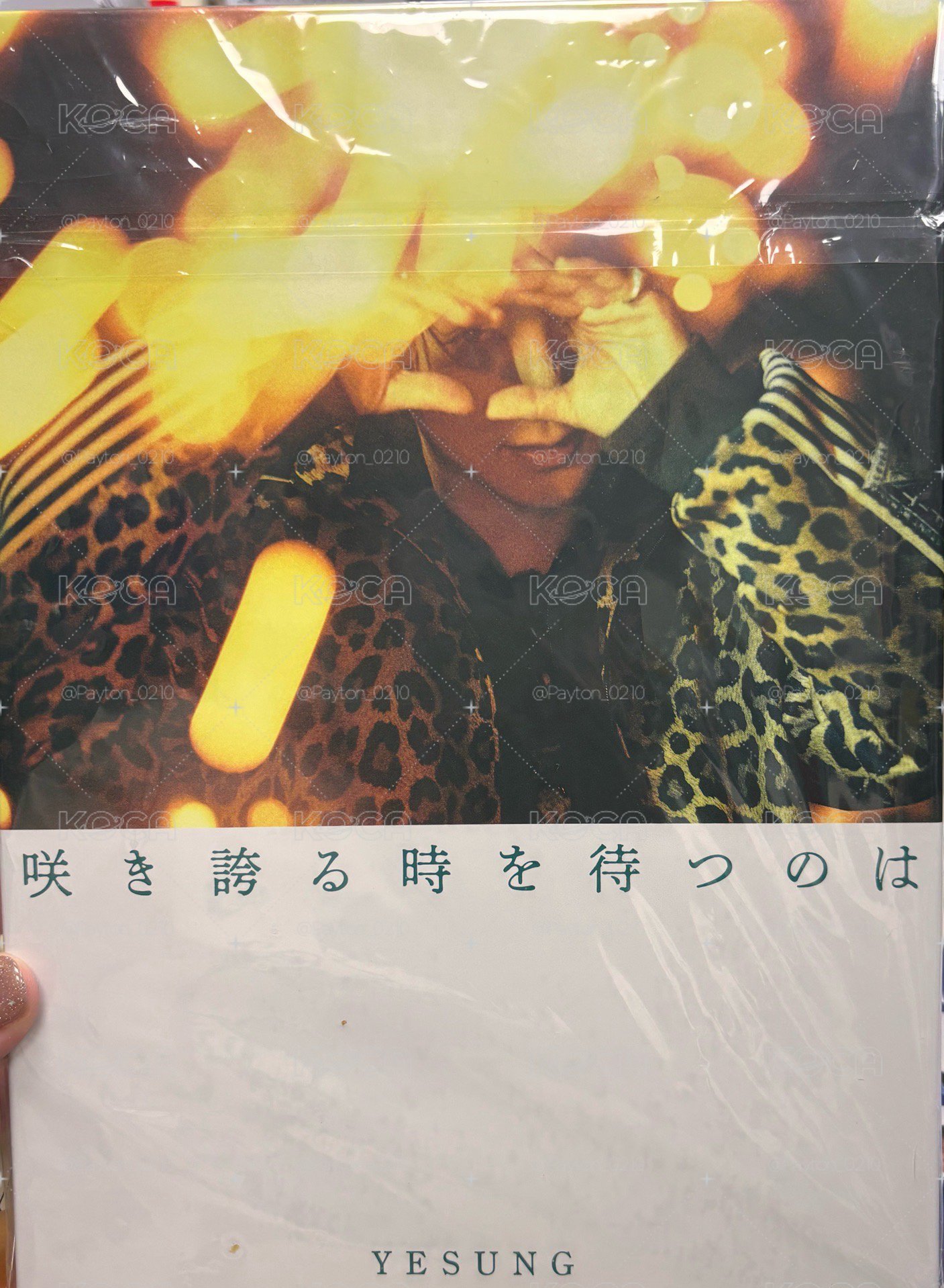 藝聲日專