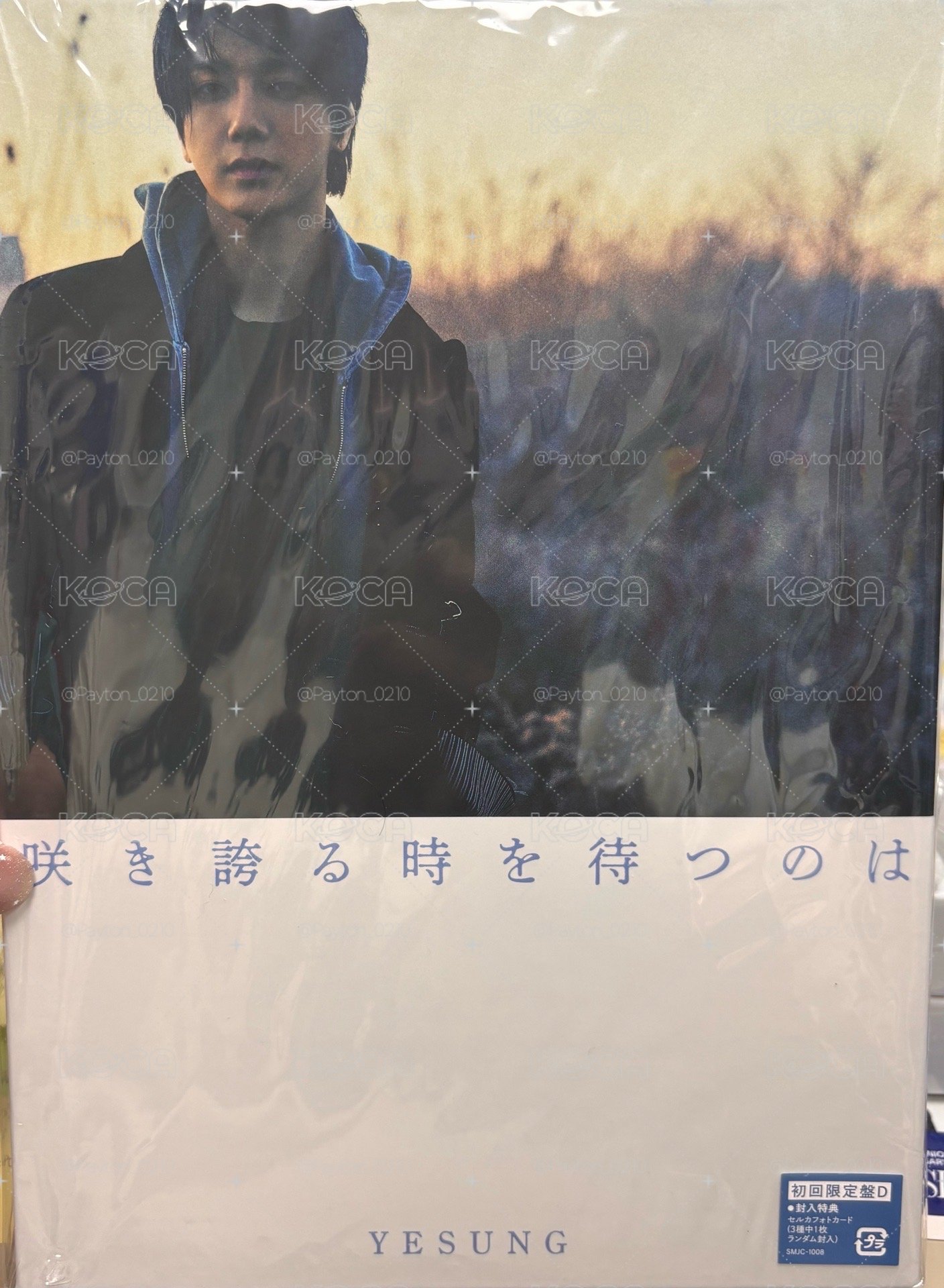 藝聲日專