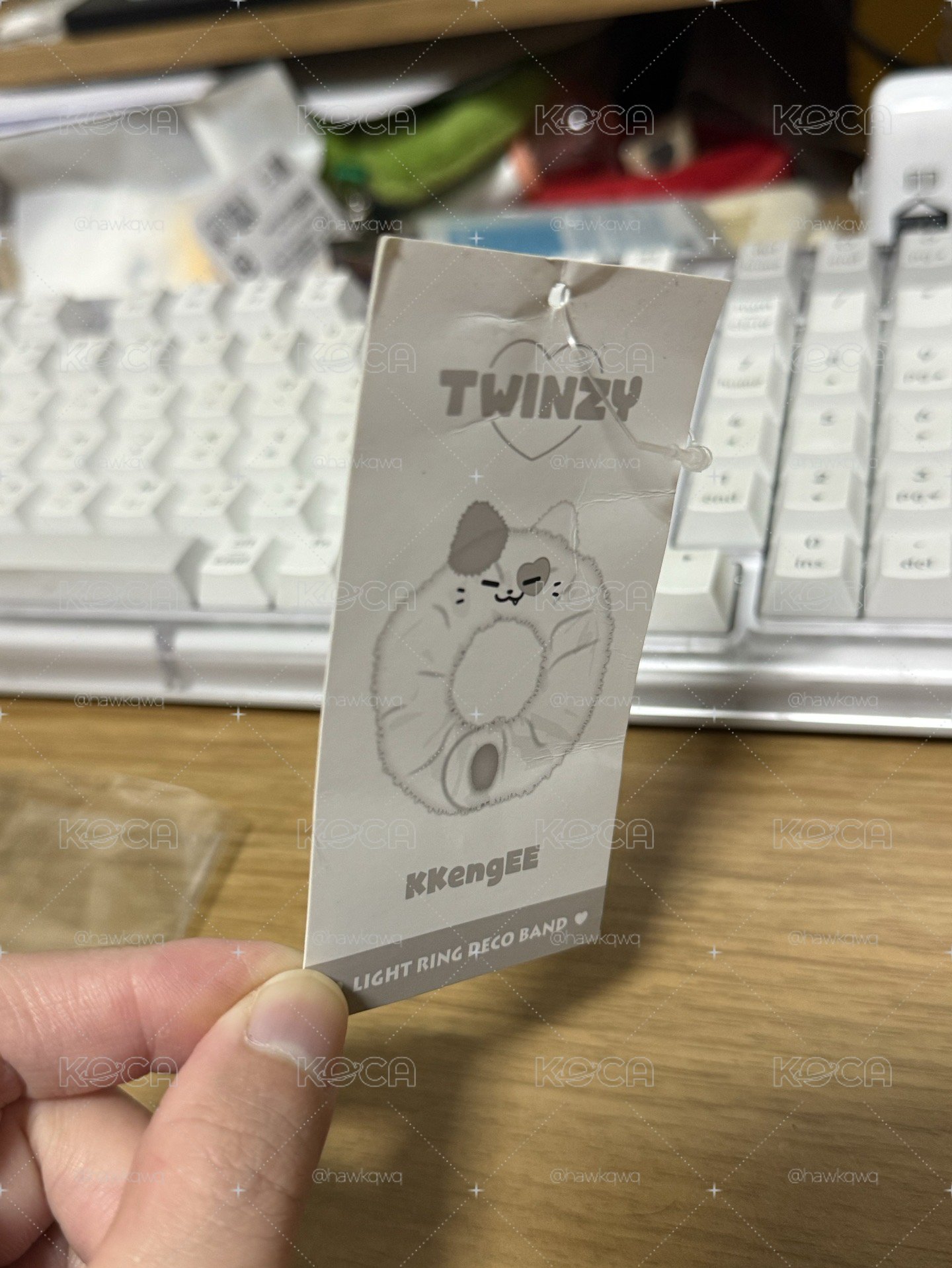 禮志 手燈套+二巡TWINZY大娃
