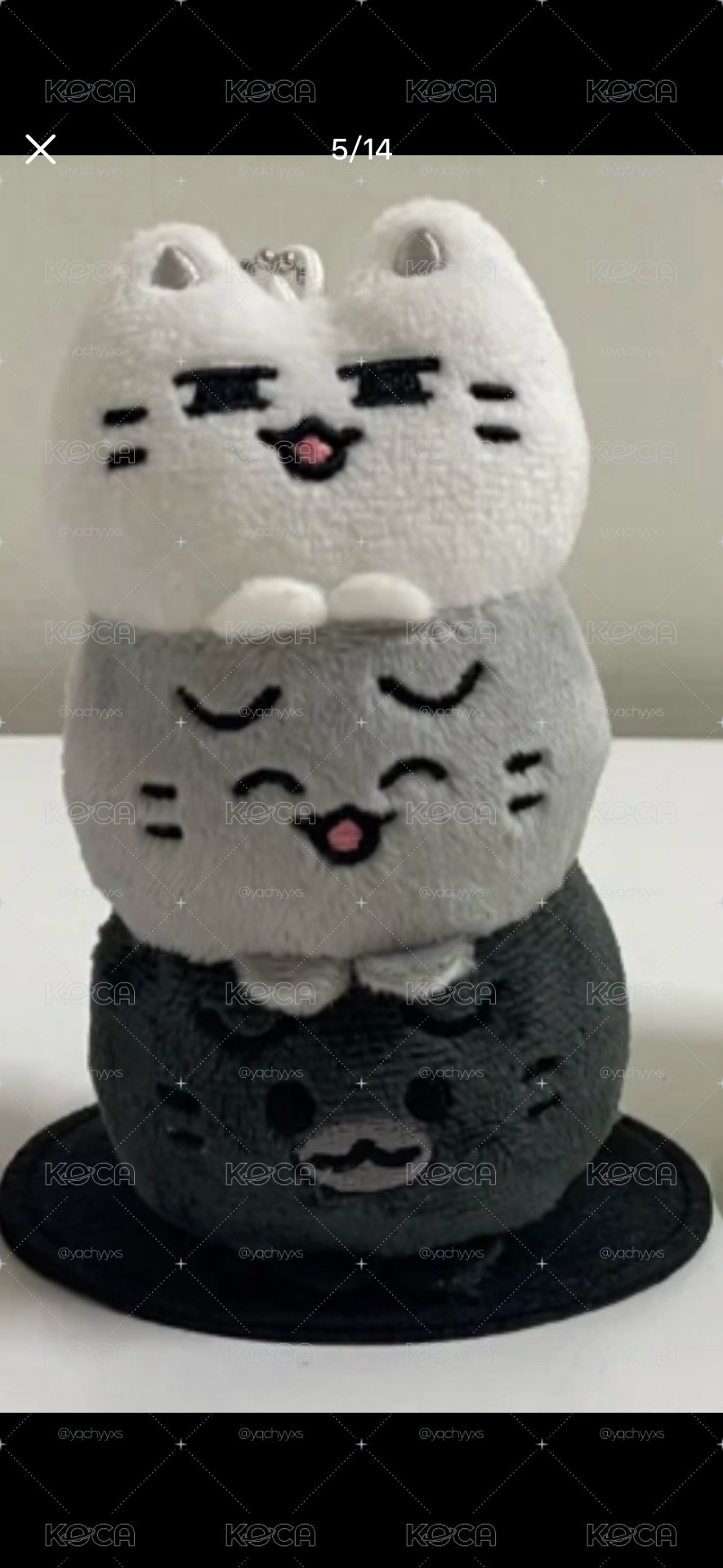 SVT 坐娃俊