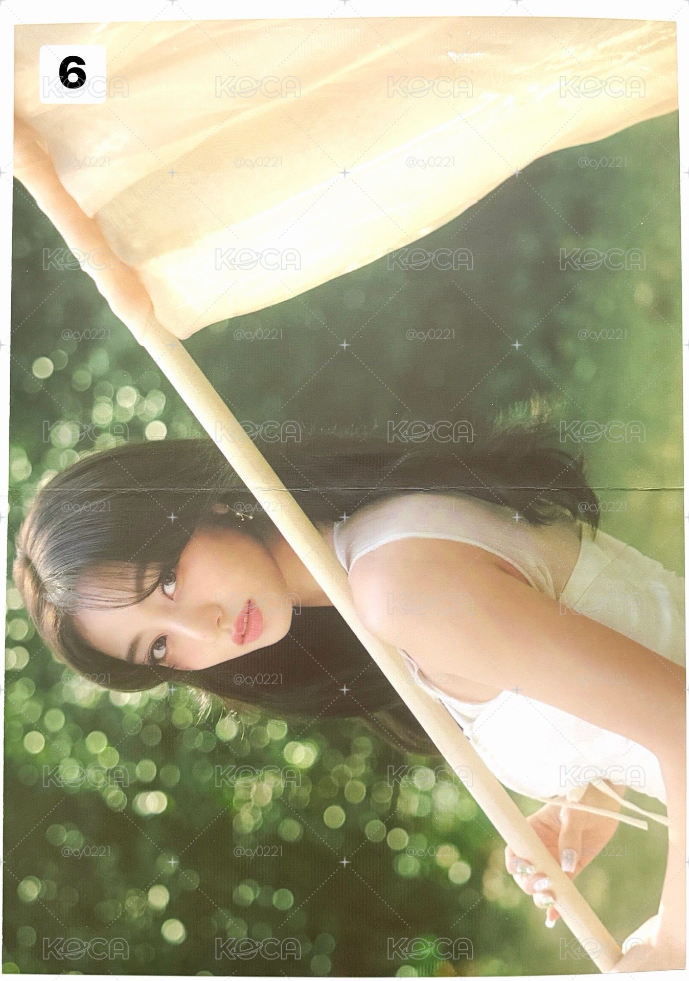 Search image
