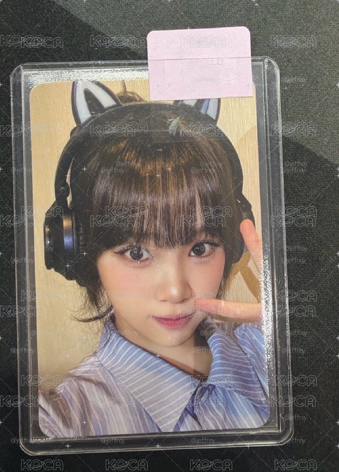 hello82采
