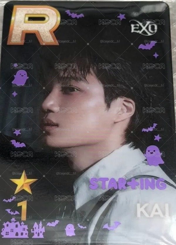🛸EXO Reverxe 首爾快閃遊戲卡