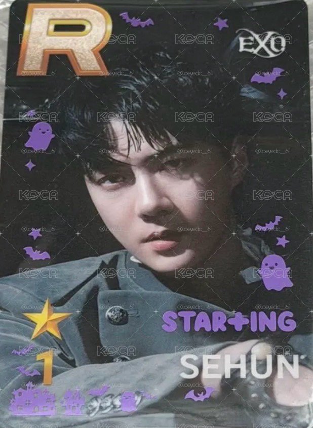 🛸EXO Reverxe 首爾快閃遊戲卡