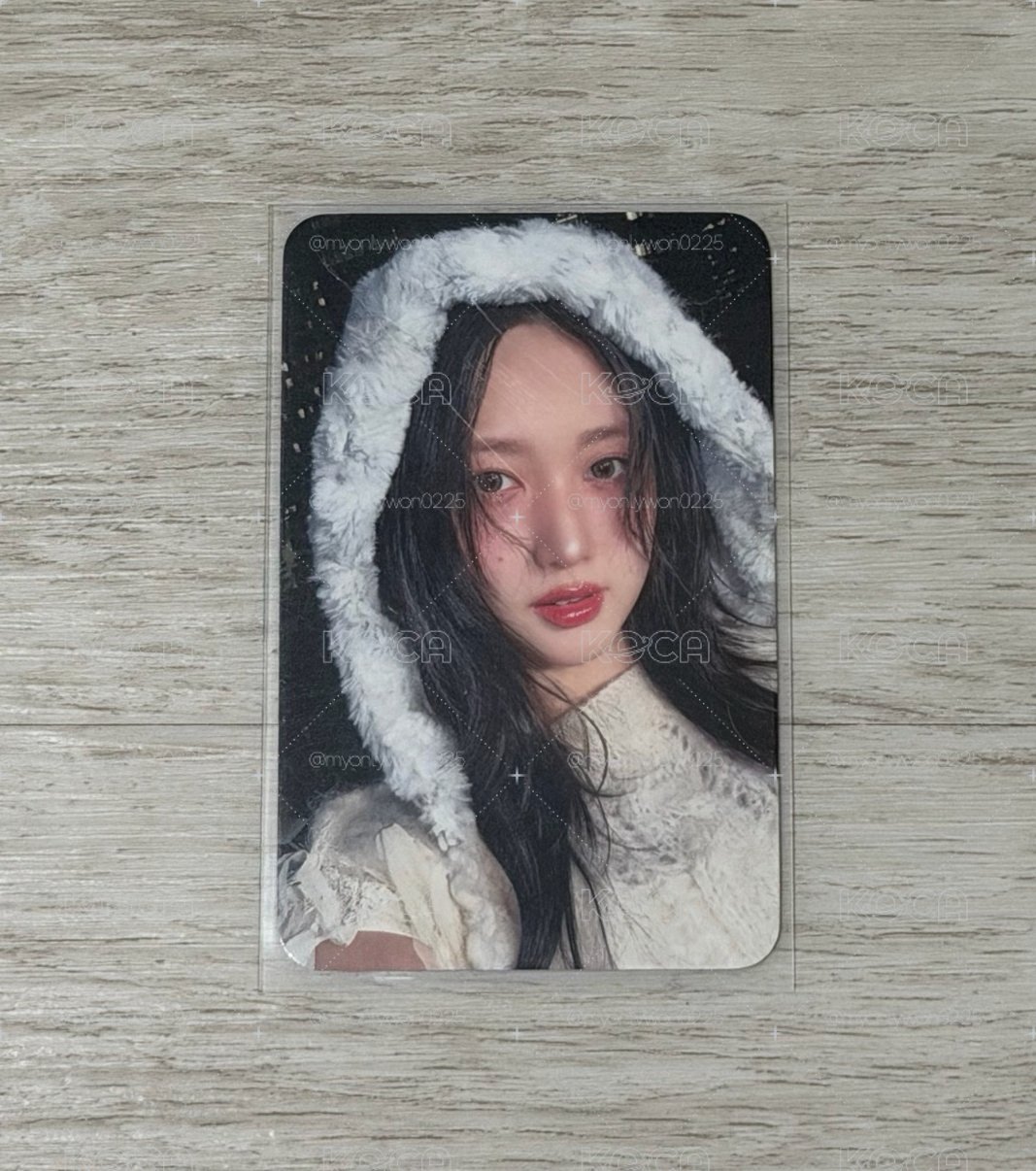 🐻‍❄️mmt1.0秋