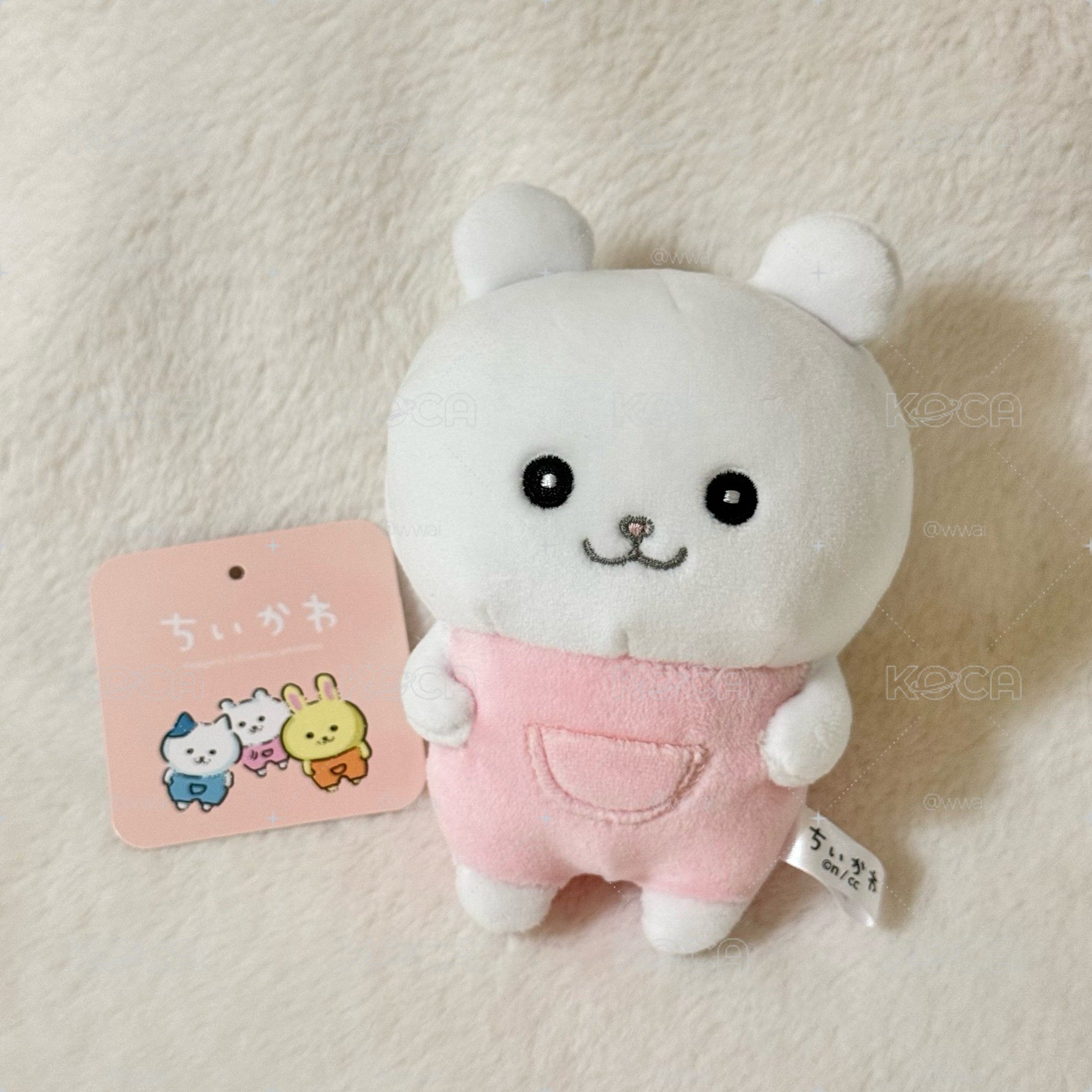 ꒰ 某某森吉伊 S娃 ꒱