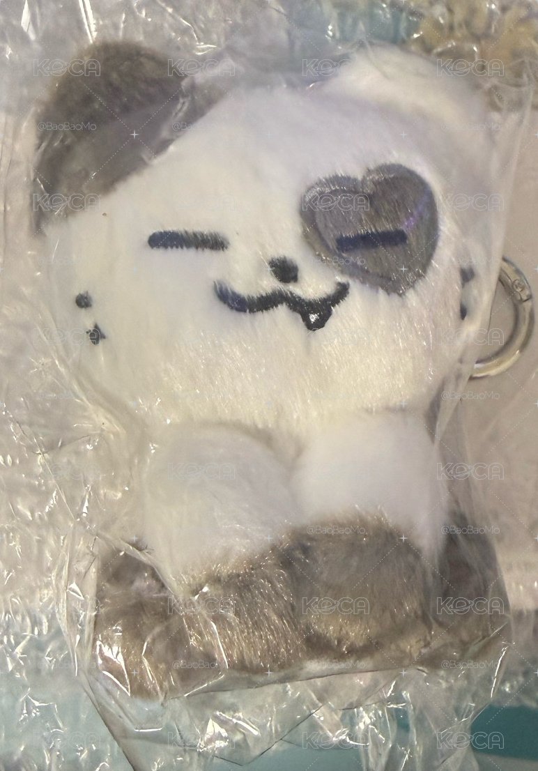 禮志坐娃