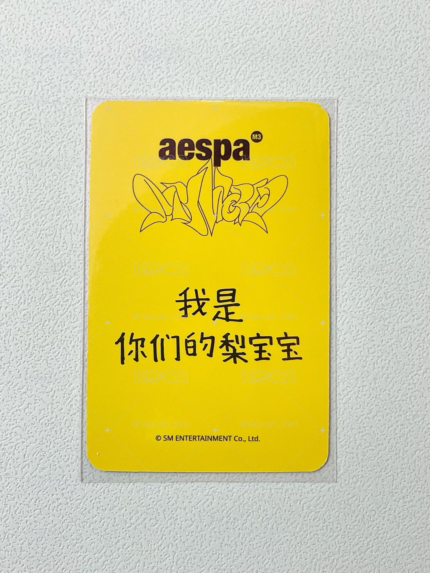 我是你們的梨寶寶