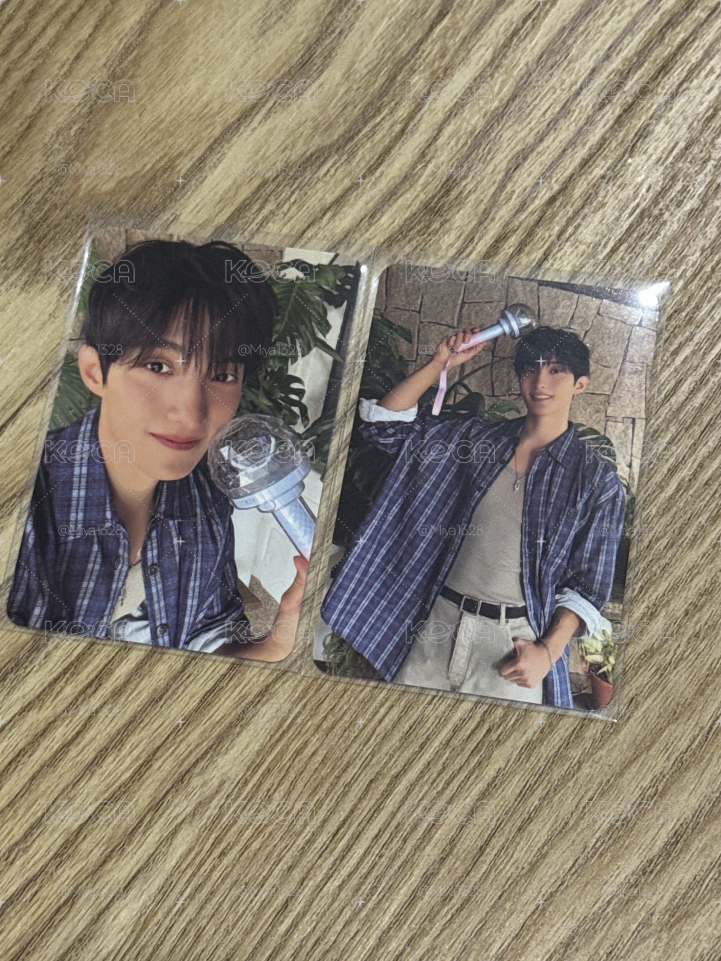 Seventeen DxS碩寛 克拉粽