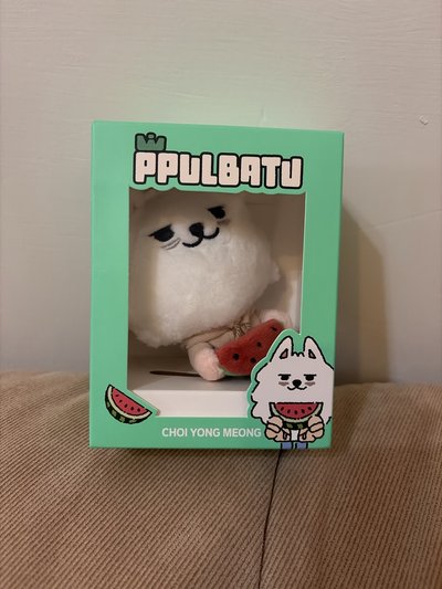 西瓜勇猛 綁出