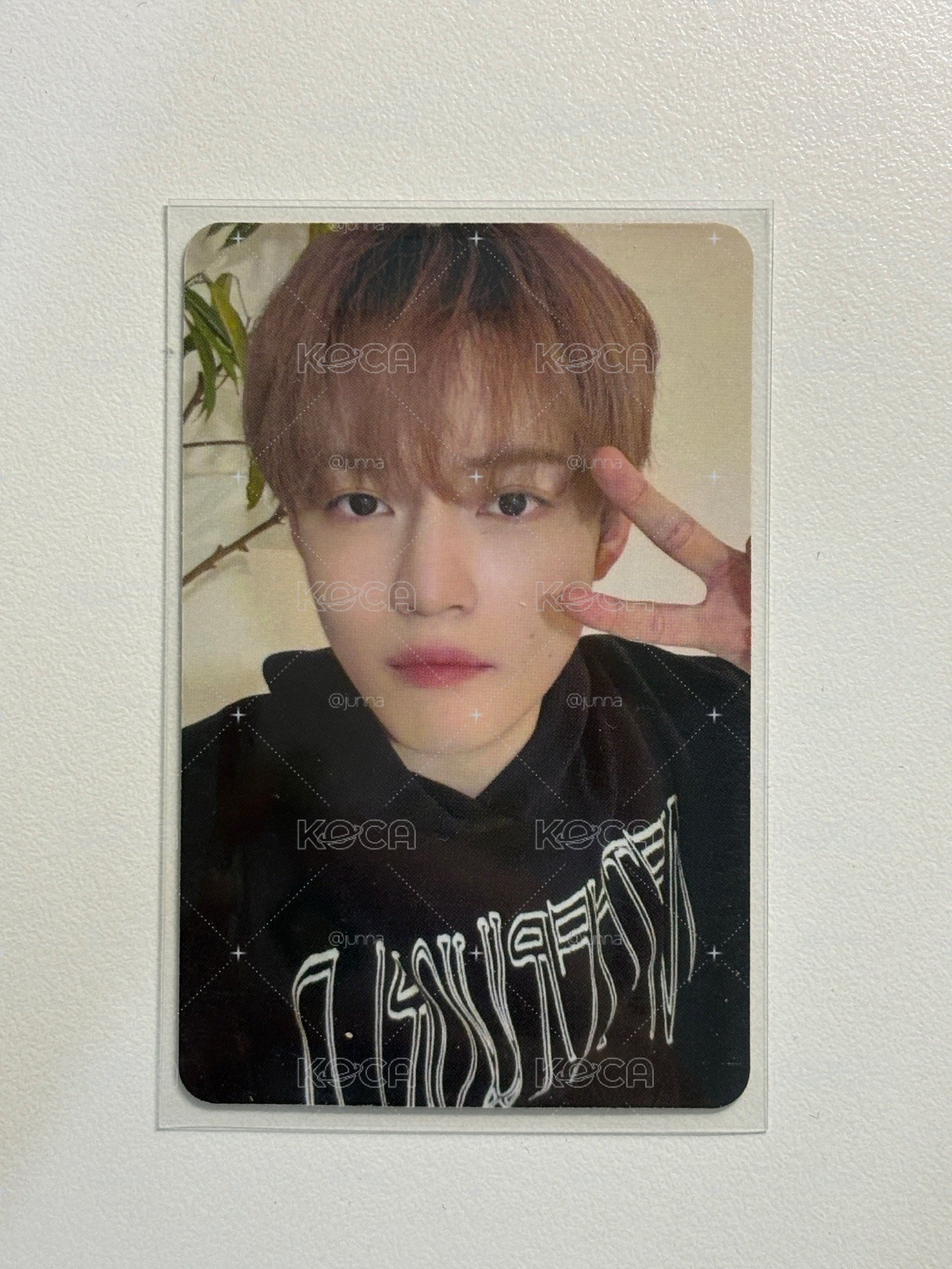 Chenle 辰樂｜迷六 am 線上 簽售卡 