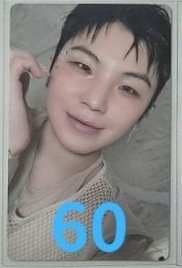 正五 wvs