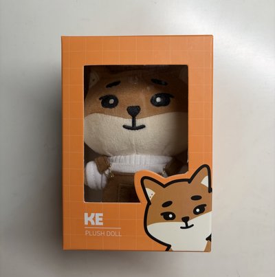 Day6 YoungK🦊 15cm Ke