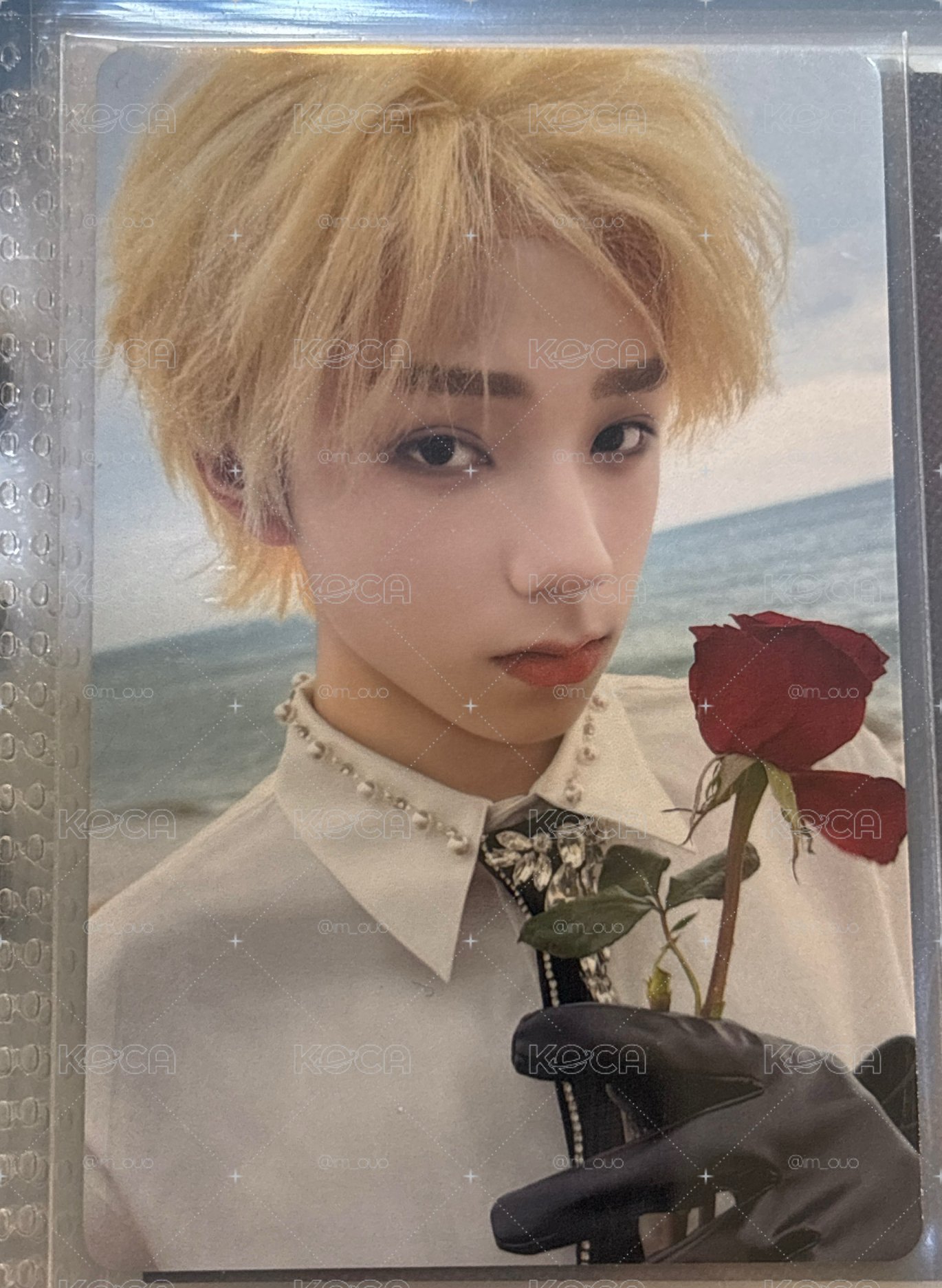 王櫓杰生周金髮小卡