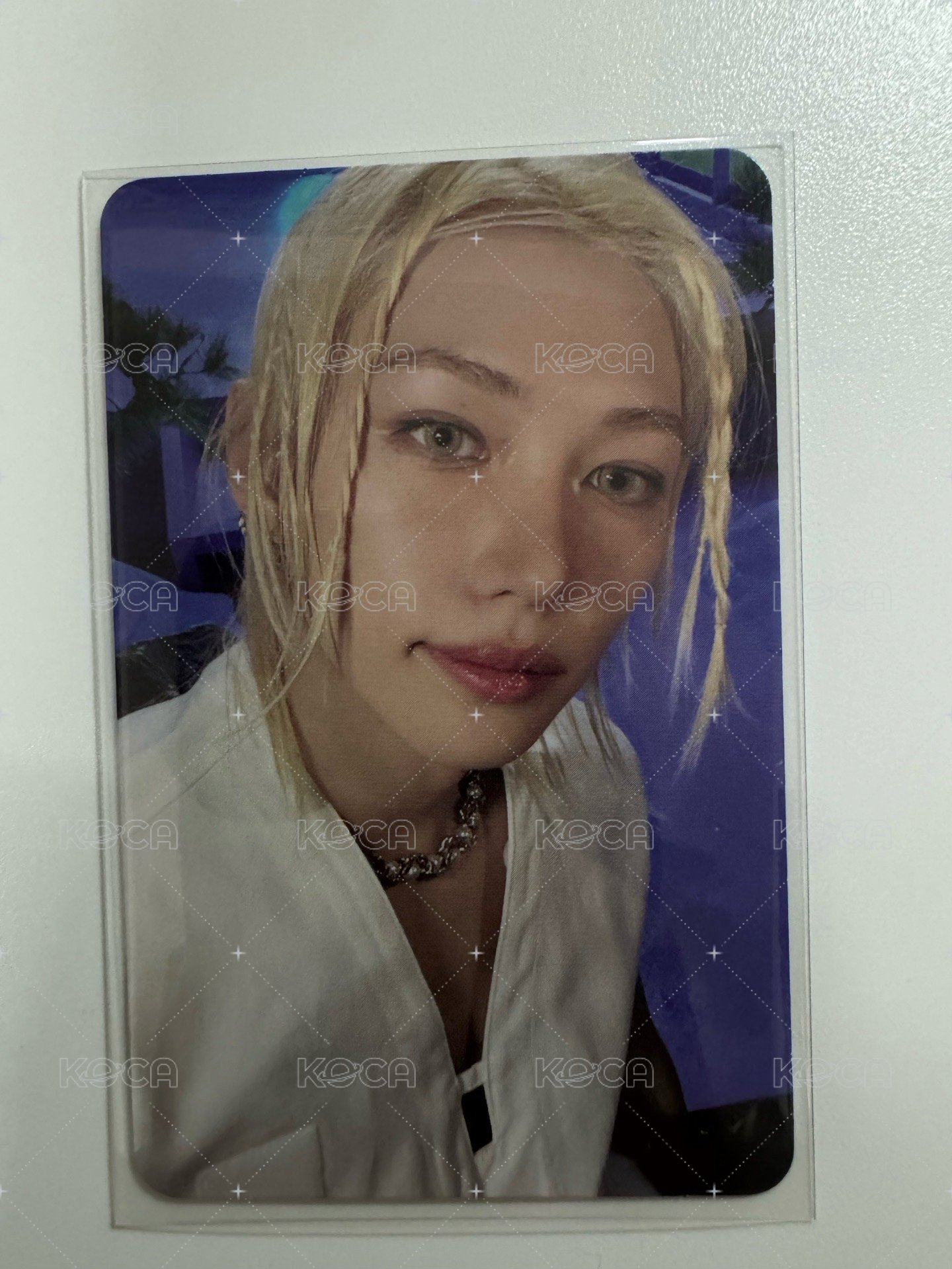 這個那個 菲