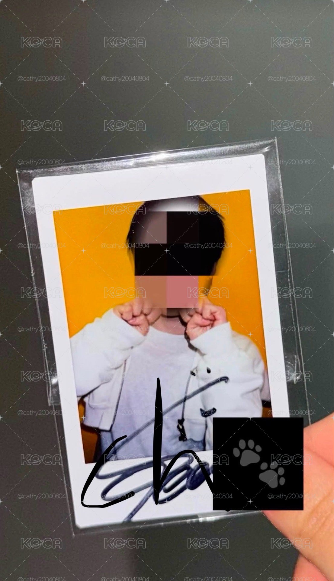 小狗簽拍