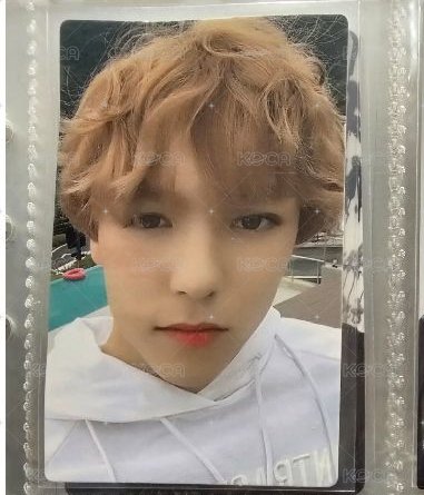 洋娃娃率🩷