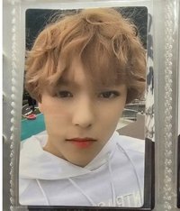 洋娃娃率🩷