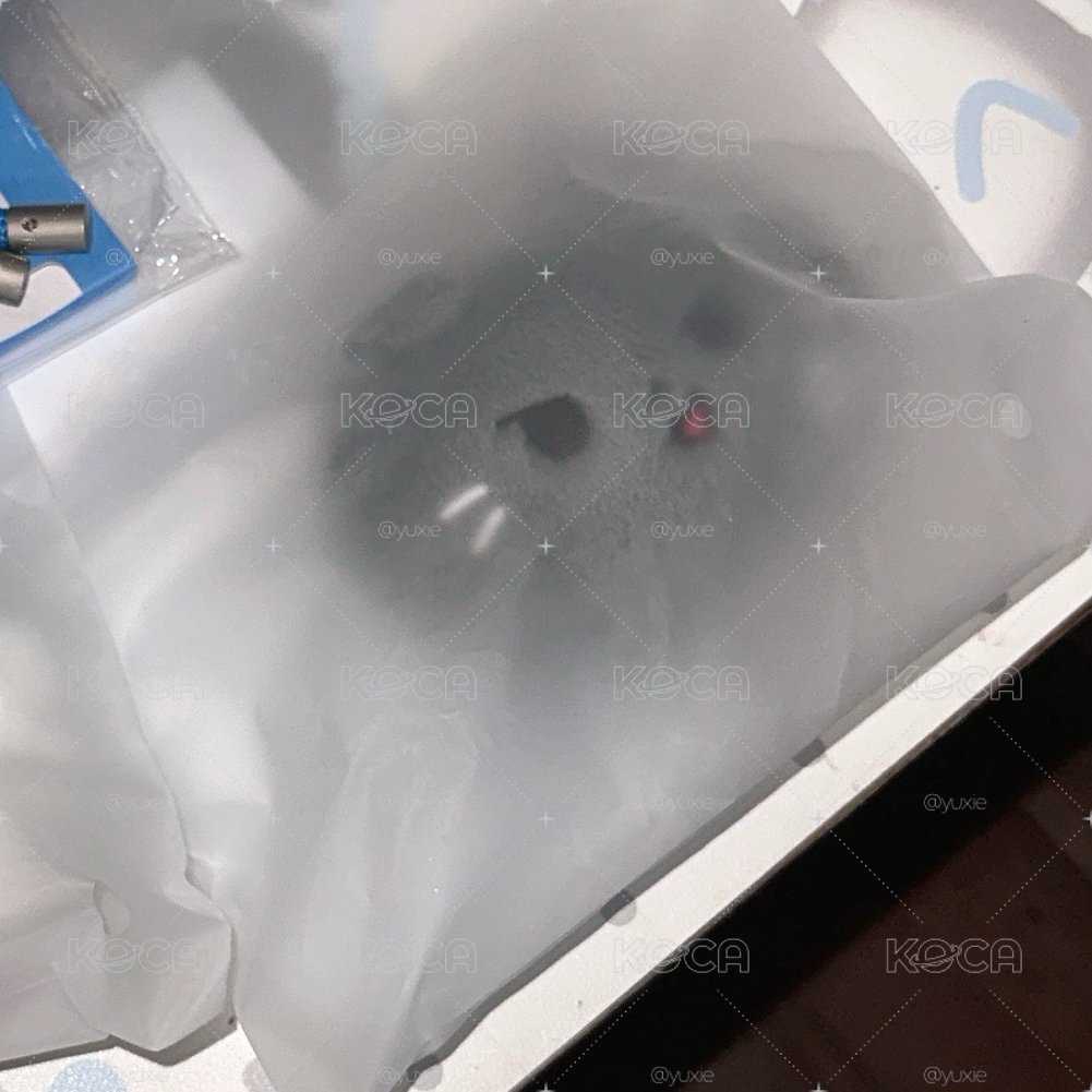 星飲料提袋