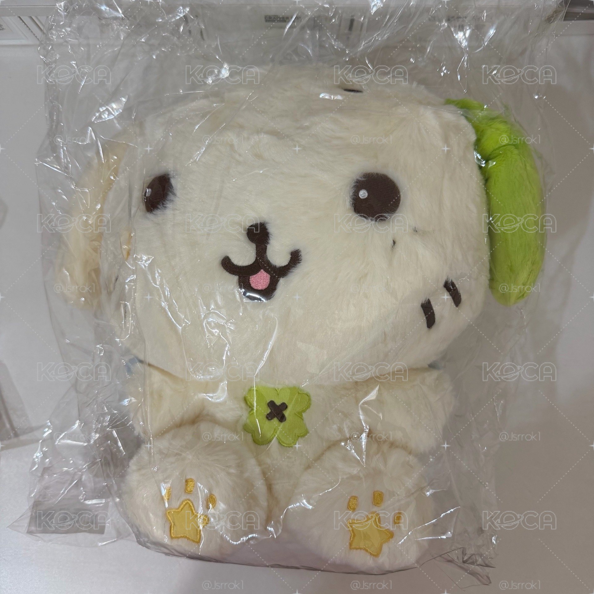 遼坐姿