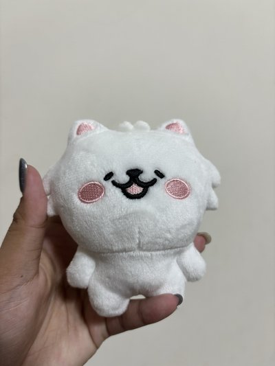 原皮娃