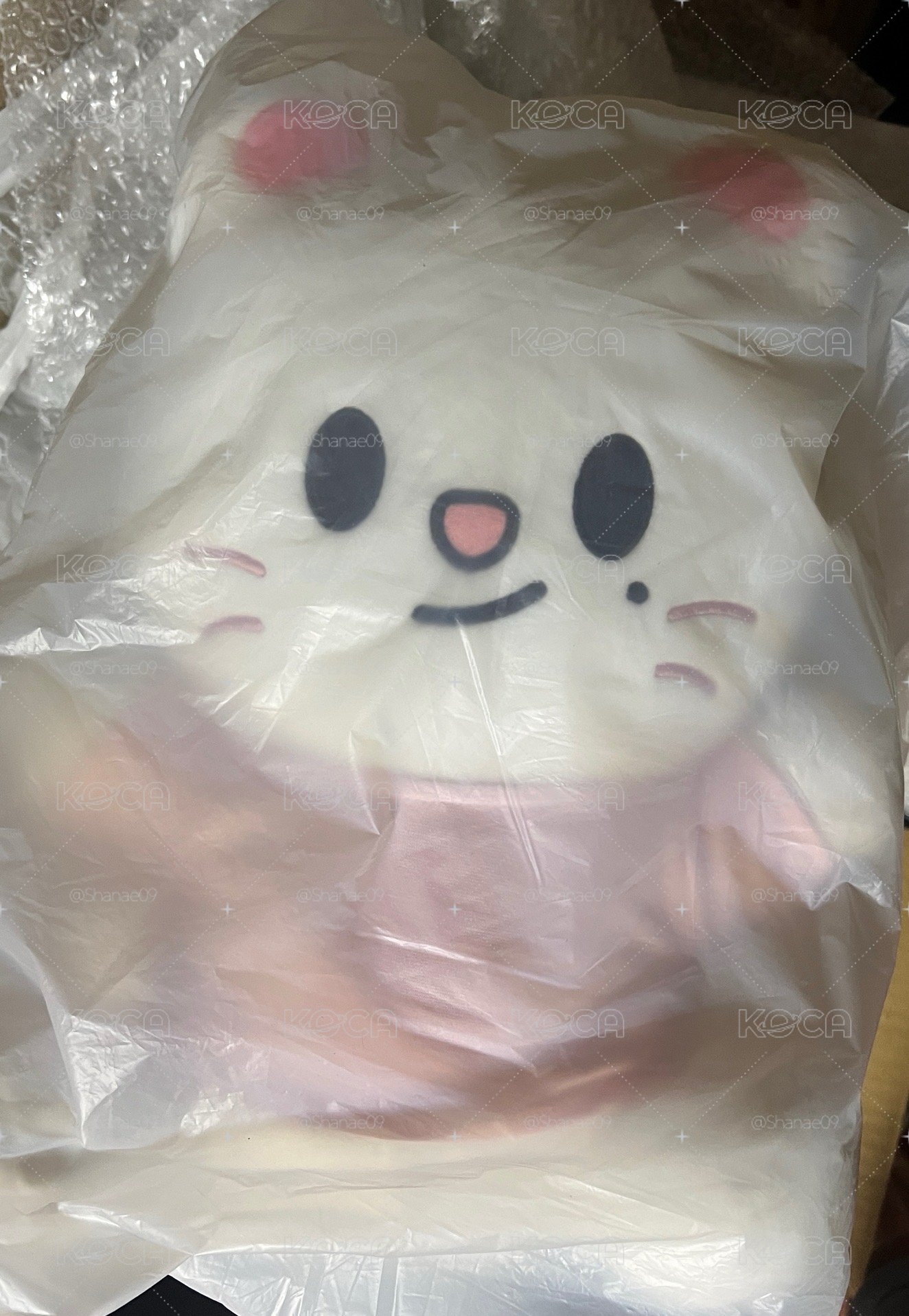 Skzoo快閃坐姿娃辰