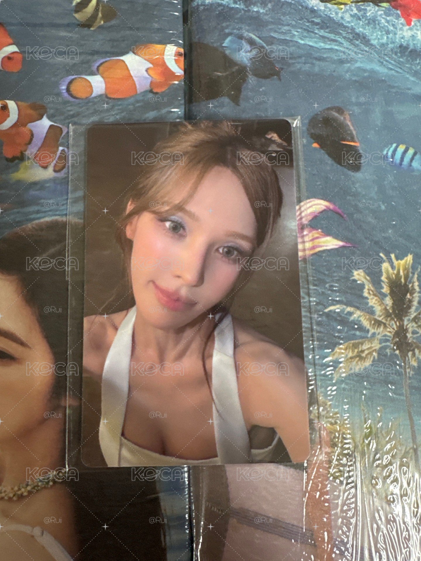 WENDY 特典卡+PB未拆專
