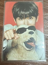 厲旭小狗