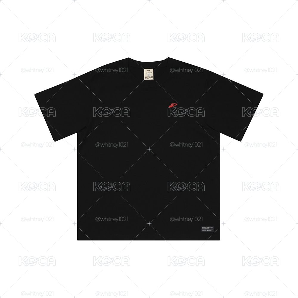 (有需要請先私訊🙏)PLAVE 2026世巡T-shirt(L)