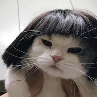 Nina